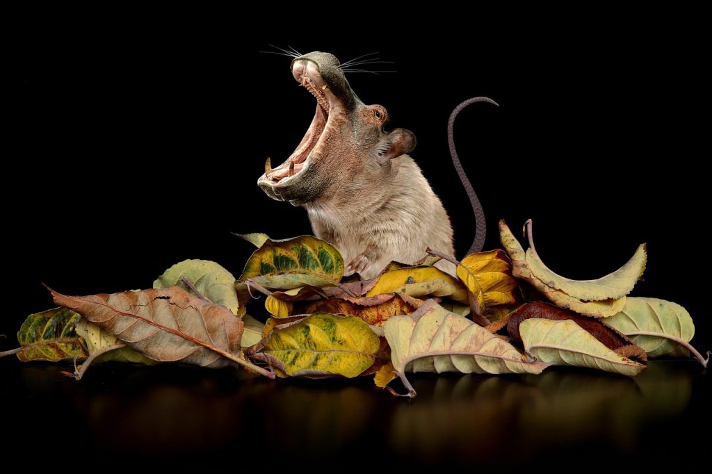 Revolutionizing Tomorrow: How Genetic Engineering Will Reshape Our Lives and the World Ahead