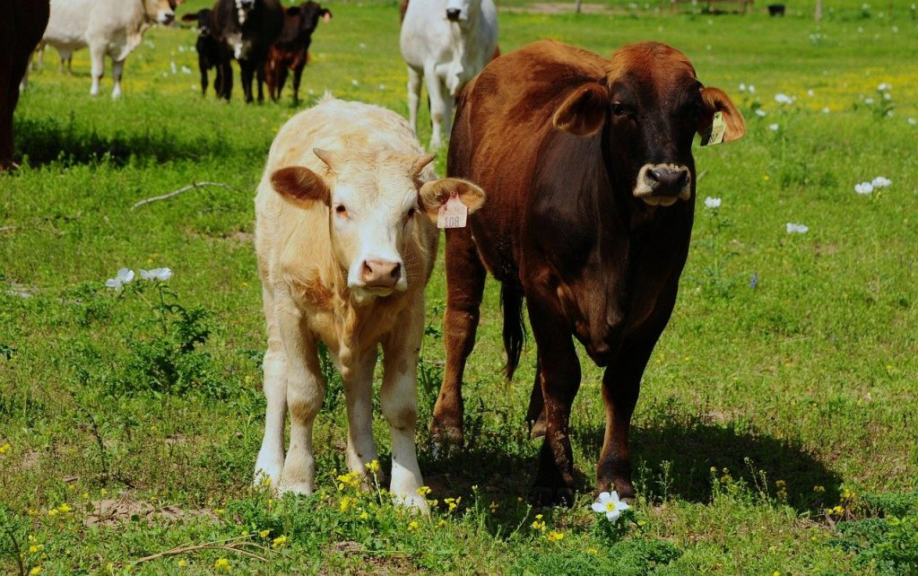 Unlock the Hidden Trend Shaping 2025’s Digital World