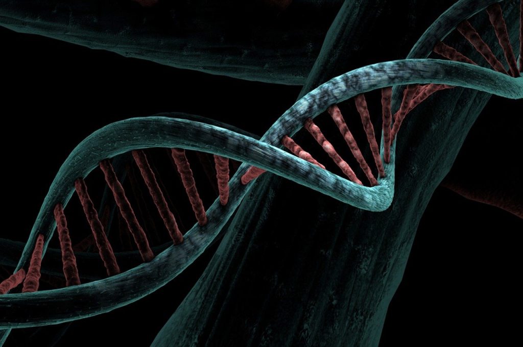 Unlock Your DNA: The Smart Guide to Genetic Testing