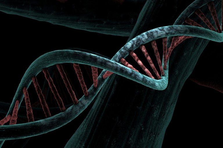 Unlock Your DNA: The Ultimate Genetic Testing Guide