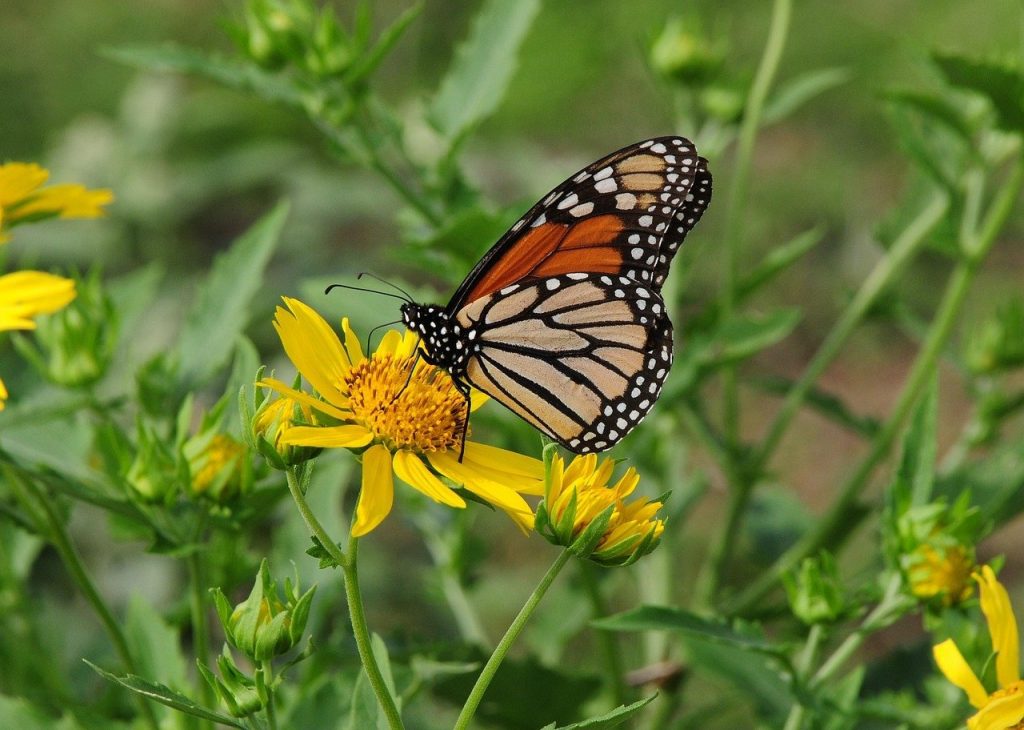 Unlock Your Potential With These Proven Life Hacks