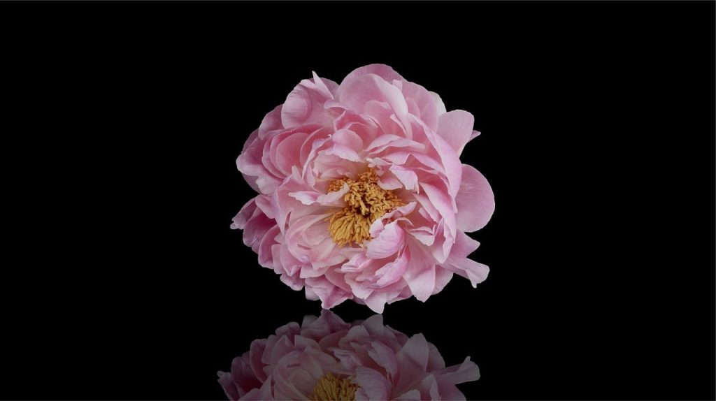 Unmissable Secrets to Skyrocket Your Success Today